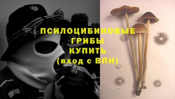 тгк Абаза