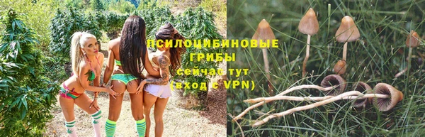 первитин Абинск