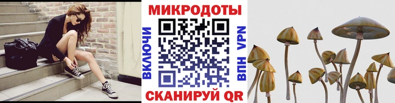 Псилоцибиновые грибы Magic Shrooms  Кострома 