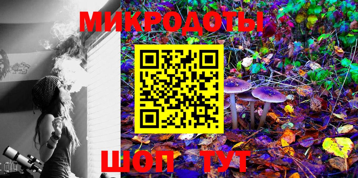 Кострома  где найти   Вход с VPN  Галлюциногенные грибы мицелий 