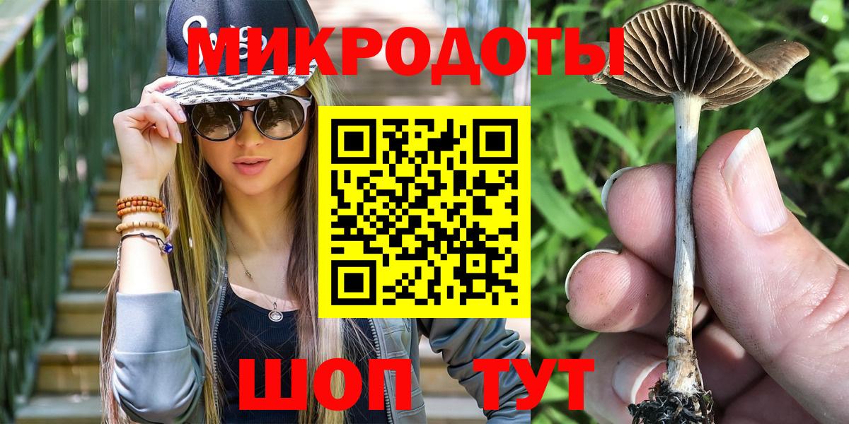 Галлюциногенные грибы Magic Shrooms Кострома