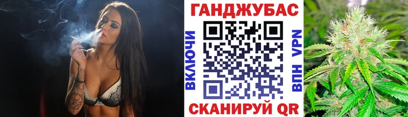 Бошки Шишки план Кострома